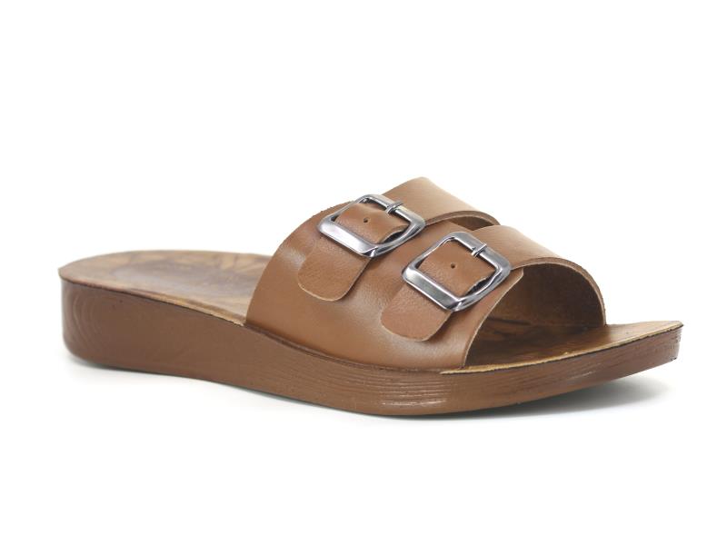 Taba - Camel