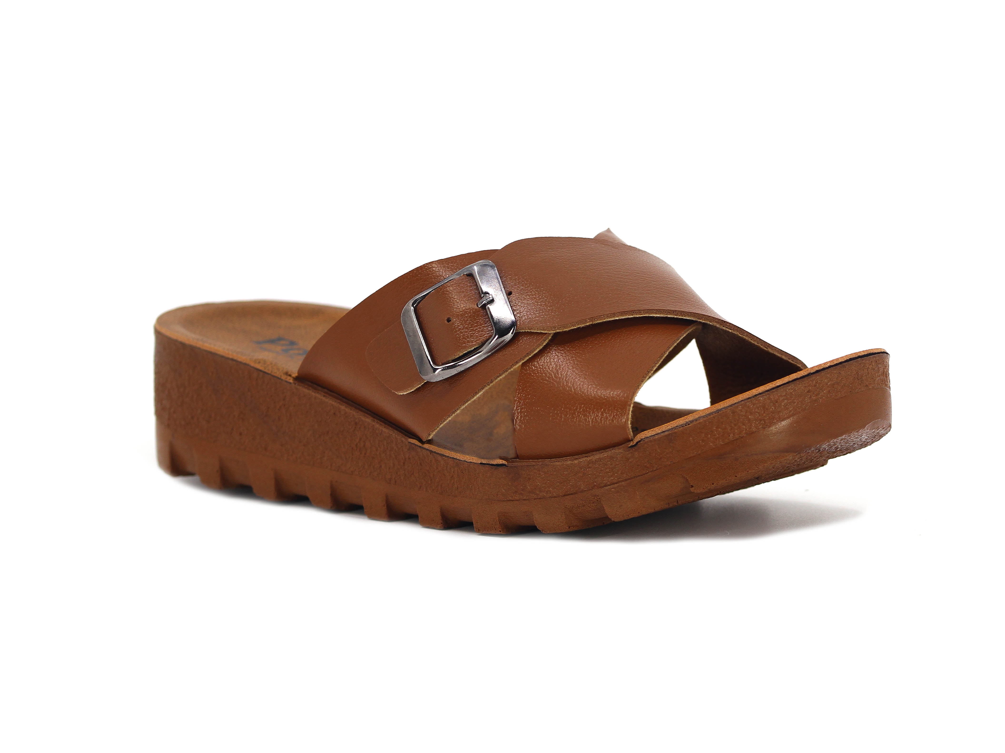 Taba - Camel